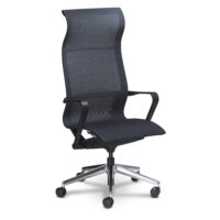 Lumbar Support and Back Support Chairs