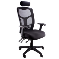 Mesh Deluxe Executive Office Chair