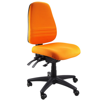 Endeavour 103 Typist Ergonomic Chair