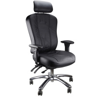 Multiform Executive Leather Chair