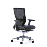 Balance executive office chair with arms and lumbar support.