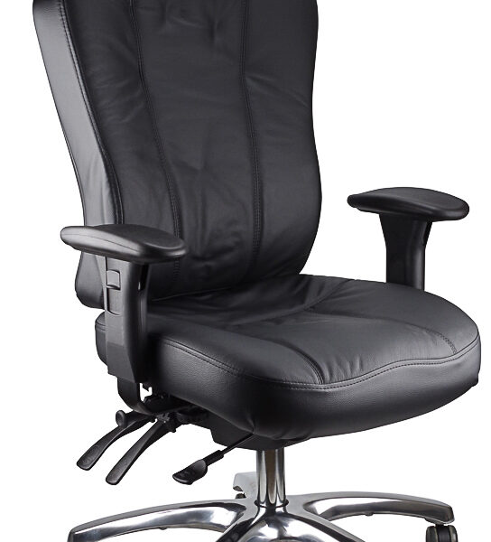 Multiform ergonomic executive office chair.