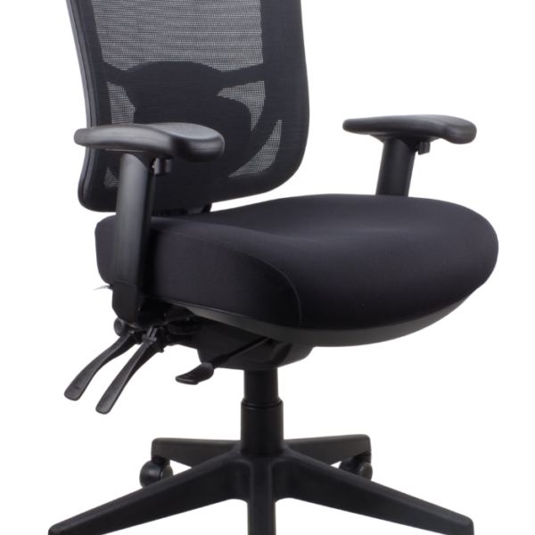 Merida medium back office chair with arms.