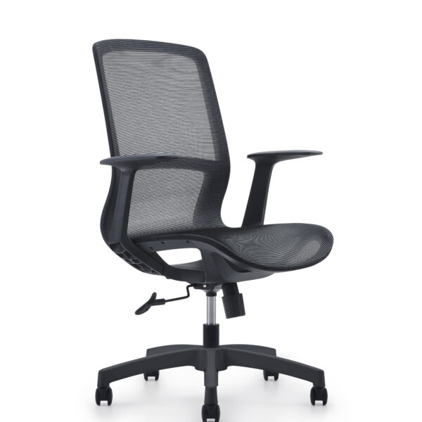 Sunny mesh office chair.