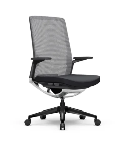 UpDown Ergo Pro chair.