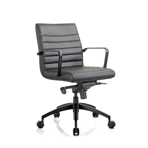 Addison medium back executive chair in black.