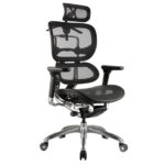 Ergo-1 office chair with headrest.