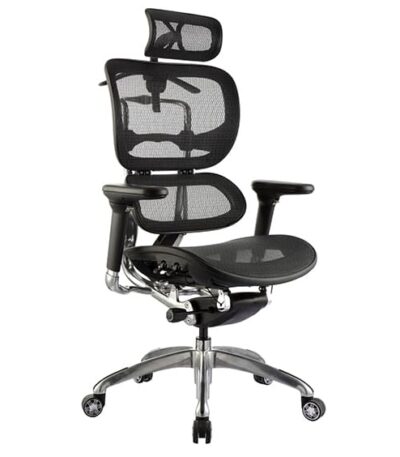 Ergo-1 office chair with headrest.