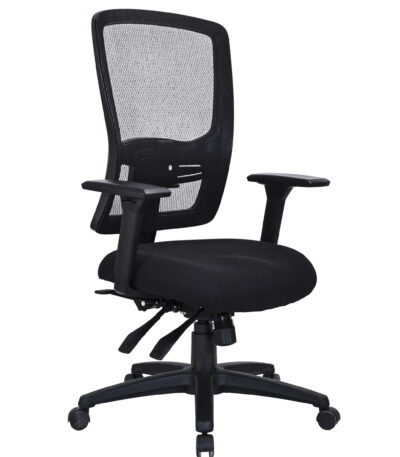 Ergona office chair with arms.