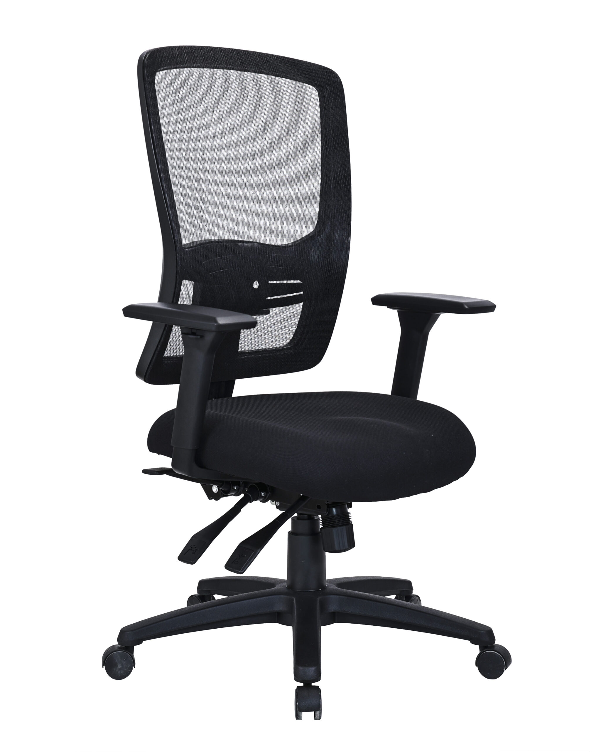 GOPU-W30MBK Ergona office chair with arms.