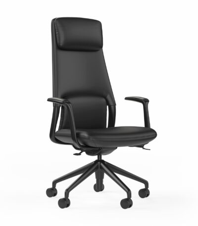 Hawthorne high back ergonomic executive chair in black.