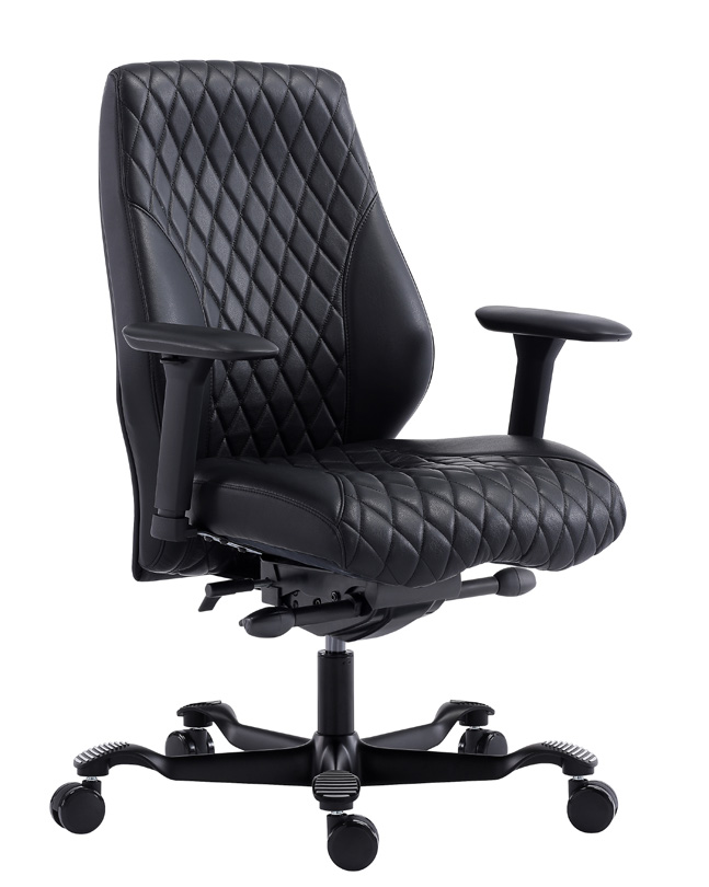 AnoltaMedium Anolta medium back executive chair.