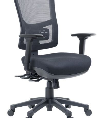 Cloud ergonomic office chair with arms.