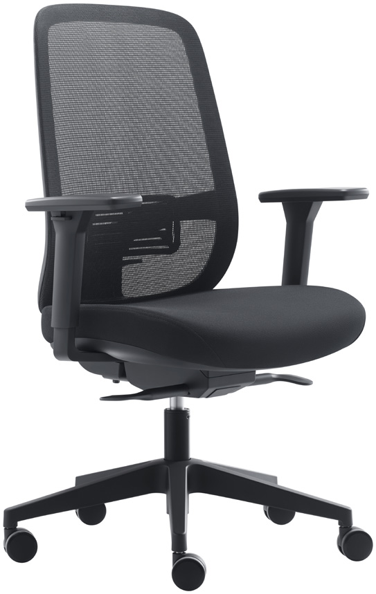 Dori Dori executive mesh chair.
