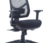 Lotus ergonomic office chair with arms.
