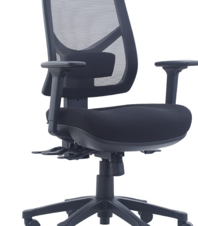 Lotus ergonomic office chair with arms.