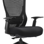 Mitz executive mesh office chair with headrest.