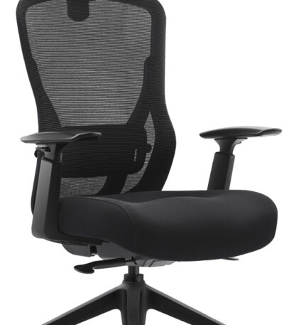 Mitz executive mesh office chair with headrest.