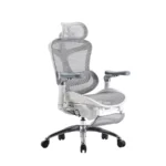 Sihoo Doro C300 Pro chair in grey.