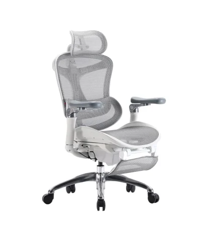 Sihoo Doro C300 Pro chair in grey.